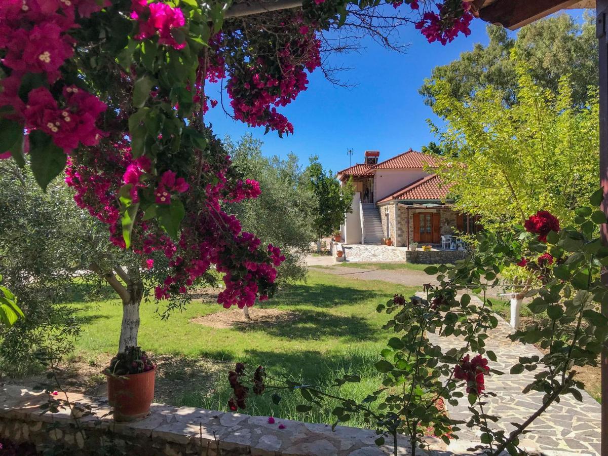 Aparthotel Mikro Xorio Vathy Exterior foto